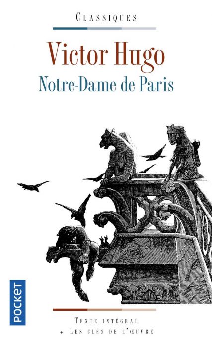 notre dame de paris novel notre dame de paris novel